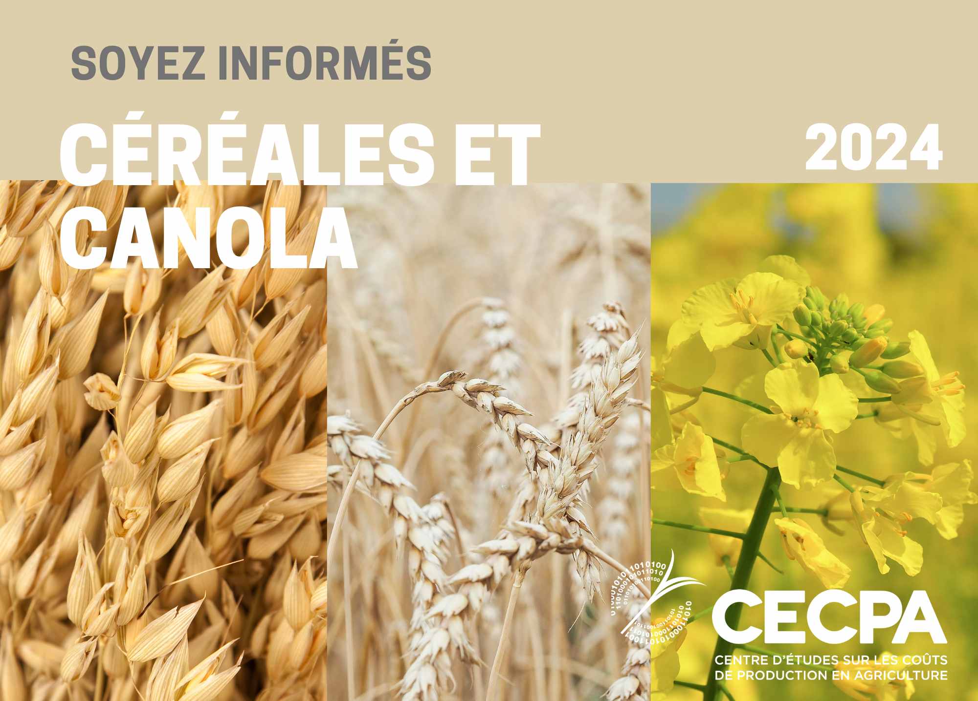 étude : SOYEZ INFORMÉS - CÉRÉALES ET CANOLA 2024